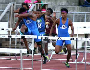 Stephenson's Denzel Harper clears a hurdle on the way to the 110M gold medal. (Photo by Mark Brock)