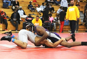 Miller Grove's Gary Freeman (in purple) followed up his DeKalb Co. gold with an Area 6-5A gold medal. (Photo by Mark Brock)