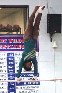 Arabia Mountain freshman Noelle Senior won the All-Around title behind this 9.0 performance on the uneven parallel bars. (Photo by Mark Brock)
