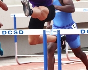 Miller Grove's Walik Robinson clears a hurdle on the way to the gold in the 110 meter hurdles. (Photo by Mark Brock)