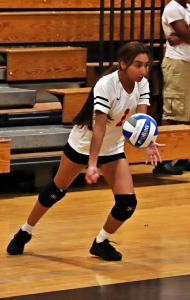 McNair's Ashley Gomez serves against Towers. Her serving helped McNair go toe-to-toe with Towers. (Photo by Mark Brock)