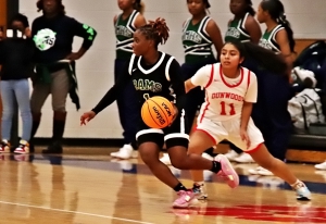 Arabia Mountain's Myori Pruitt (1) gets past Dunwoody's Patricia Raymonds during the Lady Rams win on Tuesday. Pruitt hit for a game-high 22 points in the game. (Photo by Mark Brock)