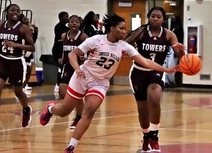 Druid Hills Anissa Brailsford (23) goes for a steal against Towers' Iteria Davis (3) during first half action of the Druid Hills 67-15 win. (Photo by Mark Brock)