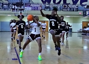 Champion's Charmaine Owens (2) hustles back to defend against Salem's Shanya Heath (1). Owens was named the Most Valuable Player in Champions title victory. 