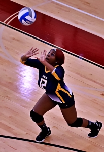 Southwest DeKalb's Se'Marah England makes a return during volleyball action at Tucker on Tuesday. (Photo by Mark Brock)