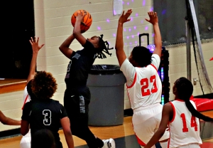 Stephenson's Raven Robertson goes in for a basket inside by Druid Hills' Anissa Brailsford (23) during the Lady Jaguars 68-44 Region 6-4A win at Druid Hills. (Photo by Mark Brock)