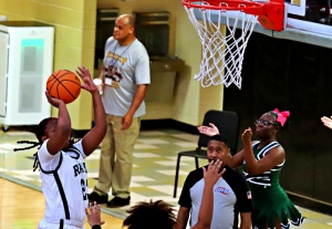 Arabia Mountain's Jhia Primrose shoots over a Lithonia defender during the Lady Rams 52-18 win. (Photo by Mark Brock)